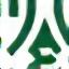 Rainforest tree icon